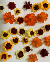 Load image into Gallery viewer, The Dyer's Garden