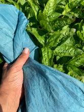 Load image into Gallery viewer, Coming Soon, Natural Dyes on the Farm, July 18th