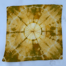 Load image into Gallery viewer, Registration Open, 3/14 Explore Natural Dye Baths & Using Resists