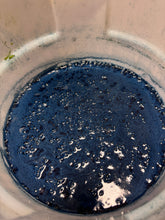 Load image into Gallery viewer, Coming Soon, 11/8 Indigo Vat Dyeing