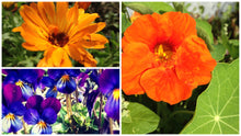 Load image into Gallery viewer, Flower Garden