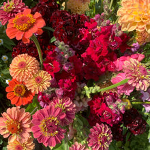 Load image into Gallery viewer, The Cut Flower Garden
