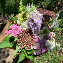 Load image into Gallery viewer, The Cut Flower Garden
